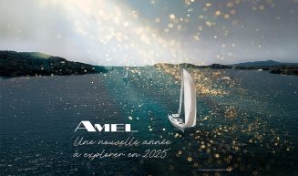 Visuel - Carte de voeux AMEL 2025 - 1080x1080px